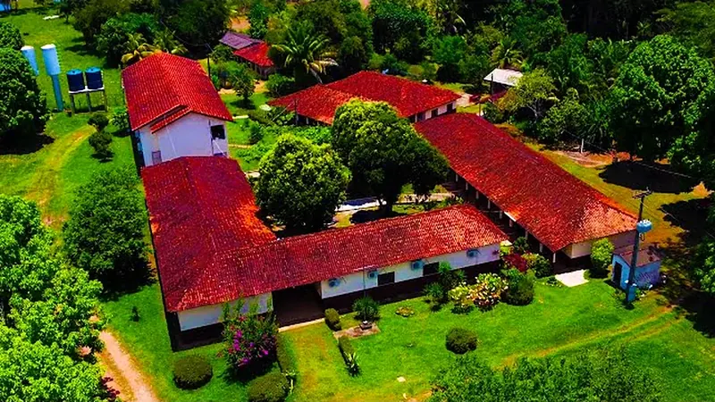 Vista aérea da Escola Família Agrícola Itapirema, com os telhados vermelhos entre árvores
